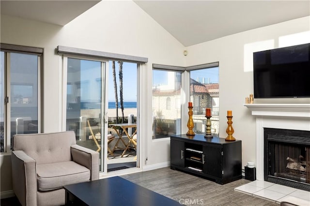 living room featuring lofted ceiling and hardwood / wood-style flooring