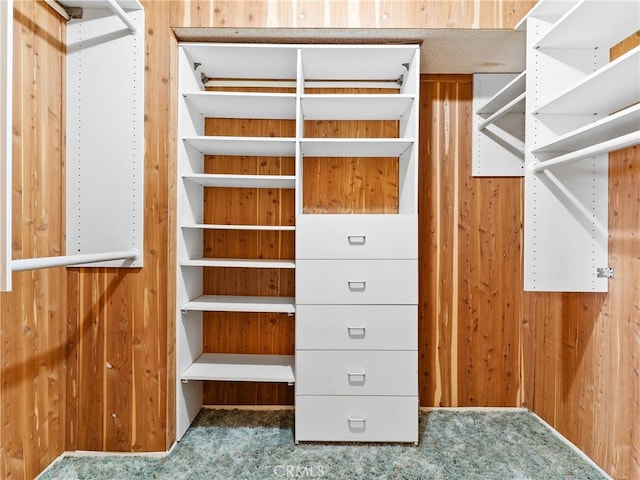 spacious closet with dark colored carpet