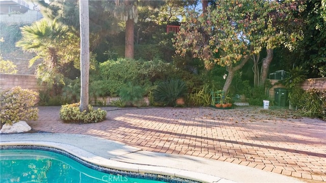 view of pool with a patio area