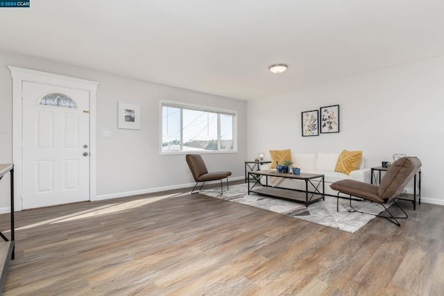 living room with light wood-type flooring