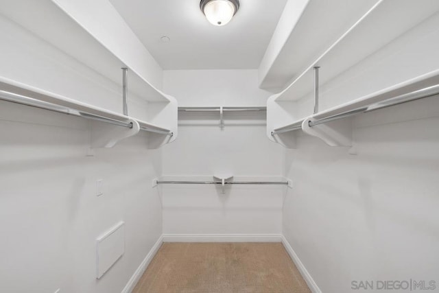 walk in closet with carpet floors