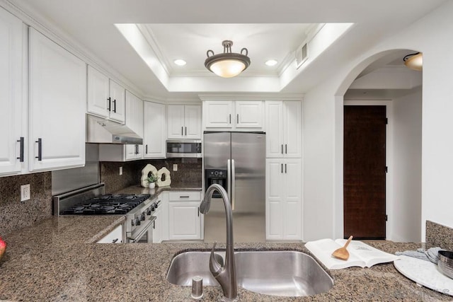 kitchen featuring sink, white cabinetry, tasteful backsplash, appliances with stainless steel finishes, and a raised ceiling