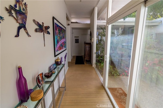 hall featuring light hardwood / wood-style floors