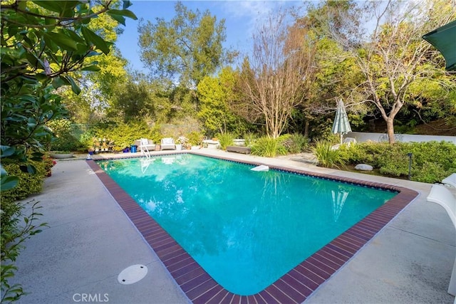 view of swimming pool with a patio area