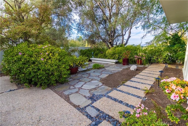 view of yard featuring a patio area