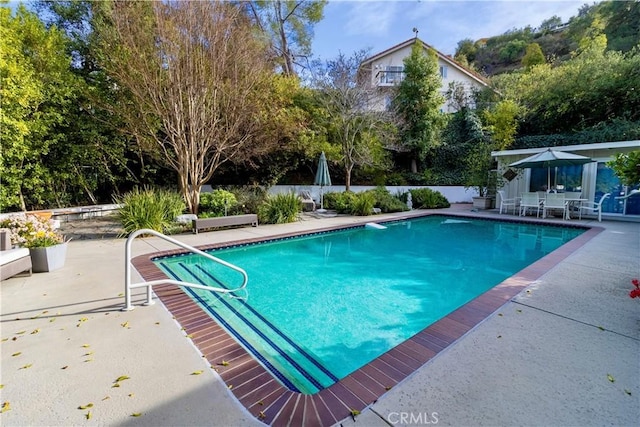 view of pool with a patio area