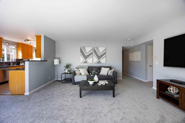 carpeted living room with sink