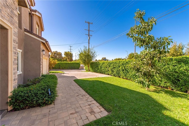 view of yard featuring a patio area