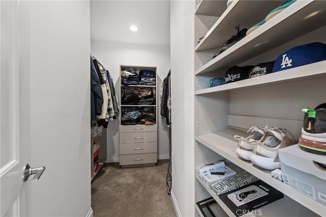 spacious closet with dark colored carpet