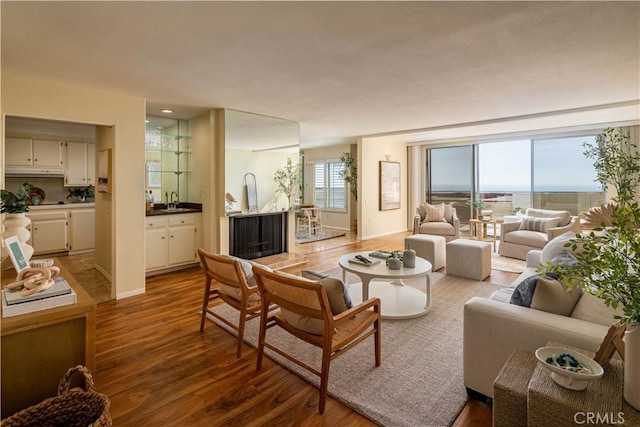 living room featuring hardwood / wood-style floors and sink