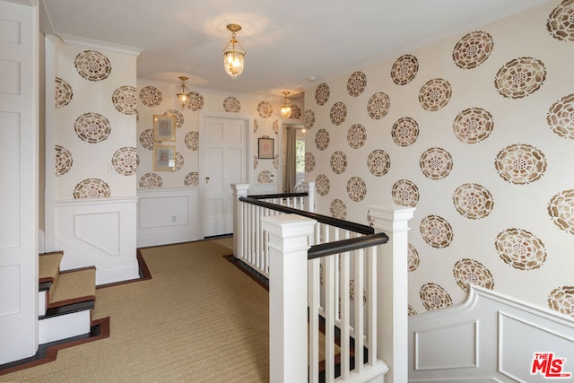 hallway with ornamental molding and dark carpet