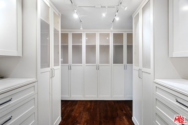 walk in closet featuring dark hardwood / wood-style flooring