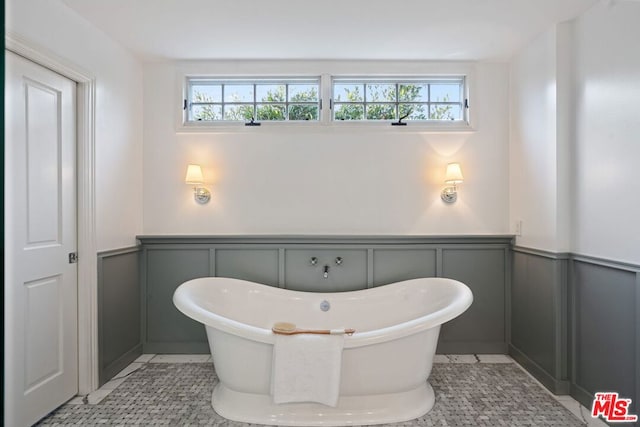 bathroom featuring plenty of natural light and a washtub