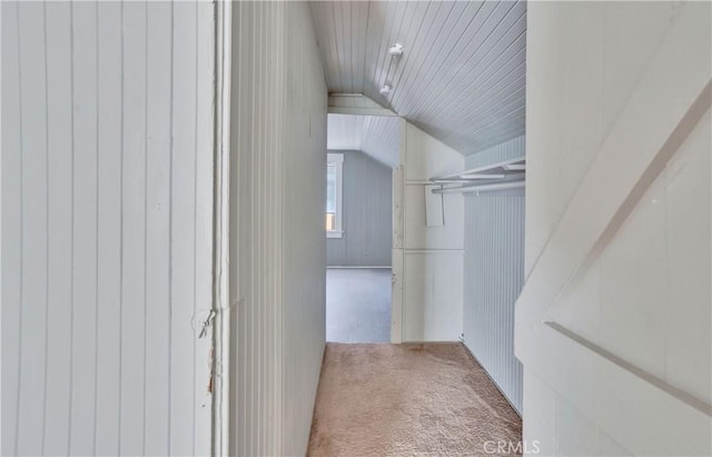 walk in closet featuring vaulted ceiling and carpet