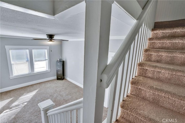 staircase featuring ceiling fan, carpet flooring, and a textured ceiling