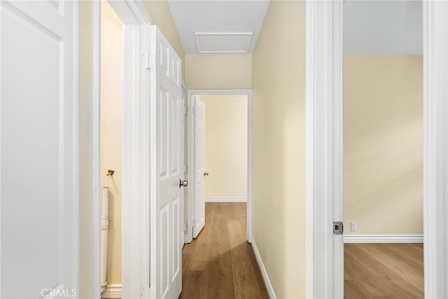 hall featuring hardwood / wood-style flooring