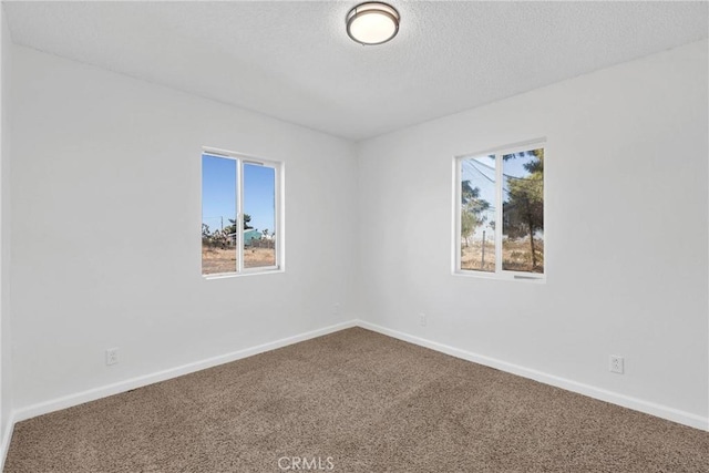 spare room featuring carpet flooring and a textured ceiling