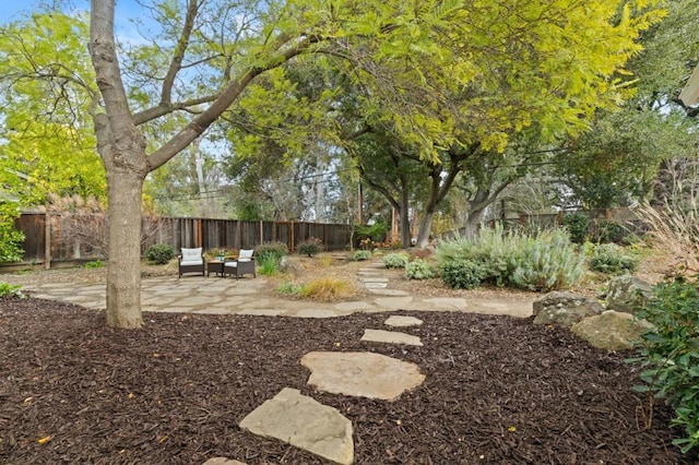 view of yard with a patio