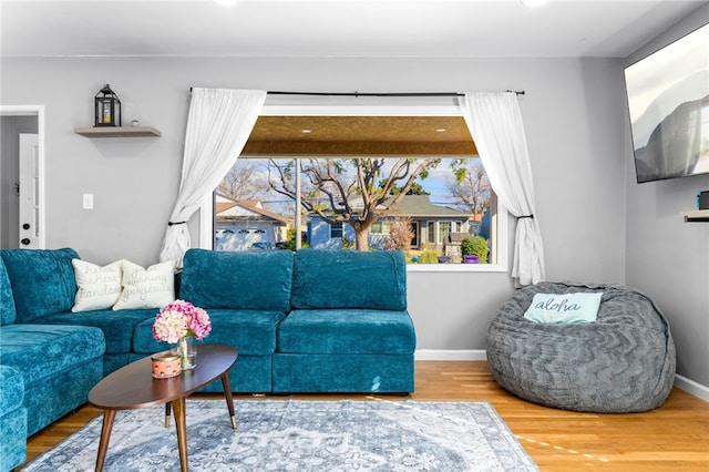 living room with hardwood / wood-style floors