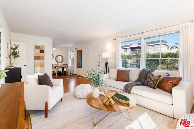 living room featuring light wood-type flooring