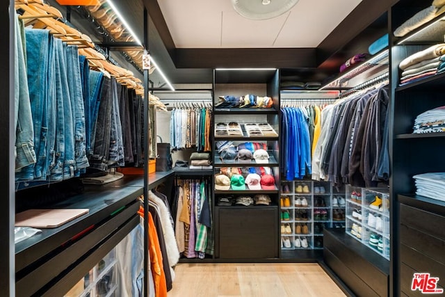 walk in closet with light wood-type flooring