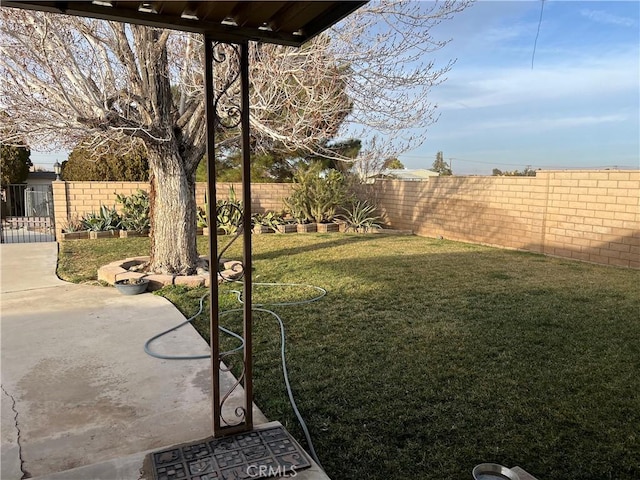 view of yard with a patio area