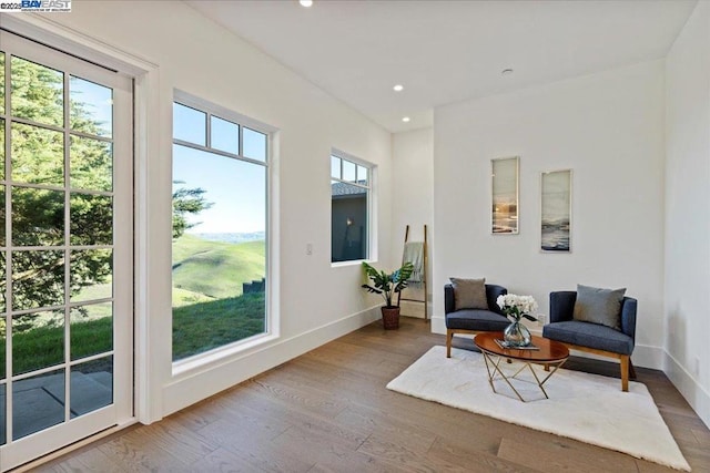 living area with hardwood / wood-style floors