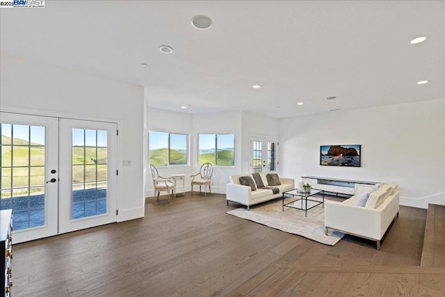 living room with french doors and wood-type flooring