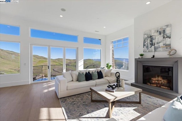 living room featuring hardwood / wood-style flooring and a mountain view