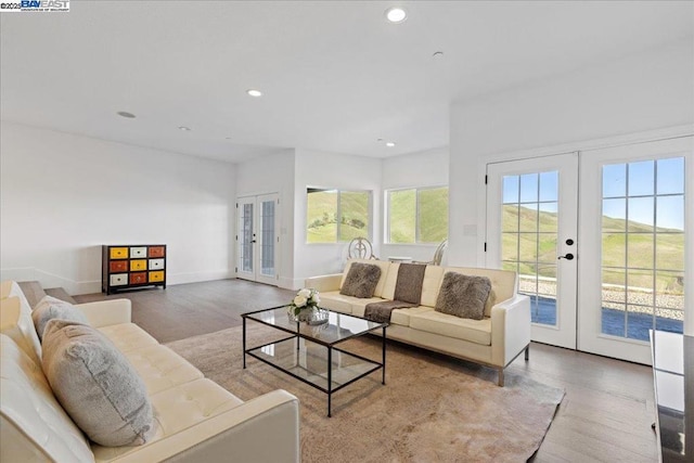 living room with french doors and wood-type flooring