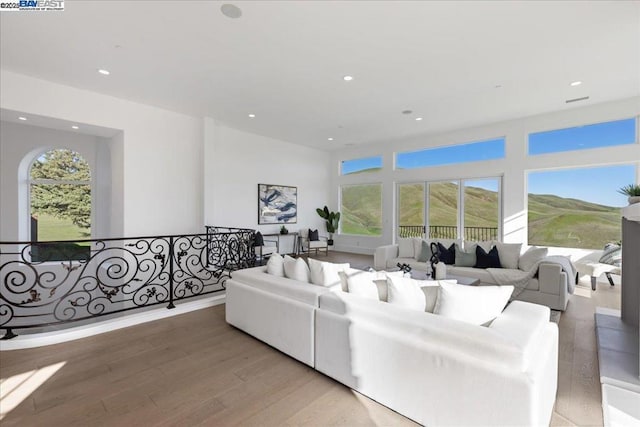 living room featuring hardwood / wood-style flooring