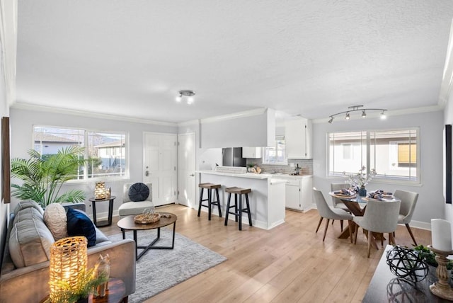 living room featuring crown molding, light hardwood / wood-style floors, and a textured ceiling