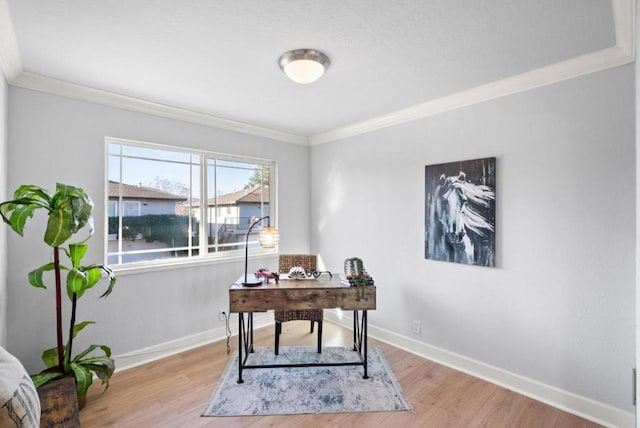 office area featuring crown molding and light hardwood / wood-style floors