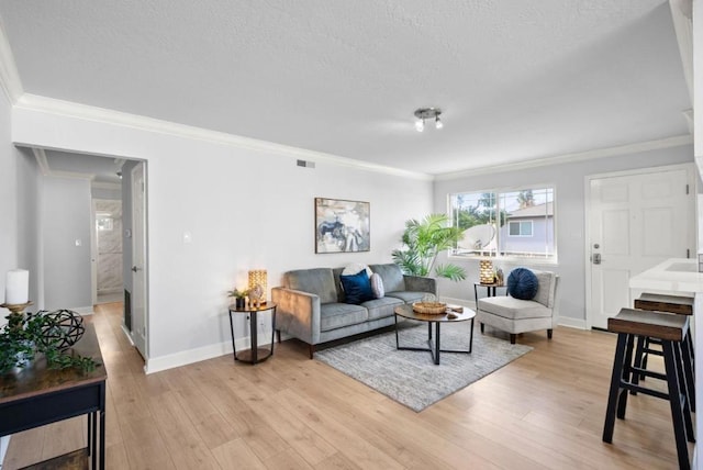 living room featuring crown molding, light hardwood / wood-style floors, and a textured ceiling