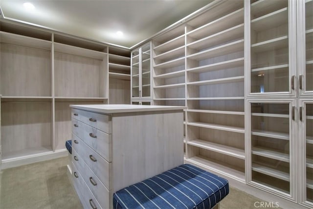 spacious closet with light carpet