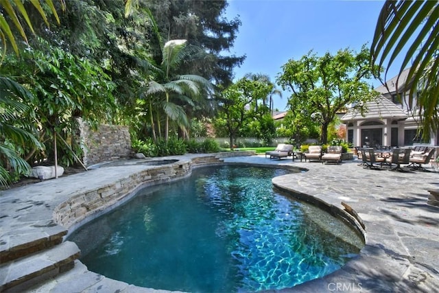 view of swimming pool featuring a patio area