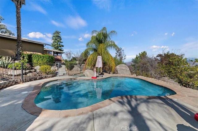 view of pool featuring a patio area