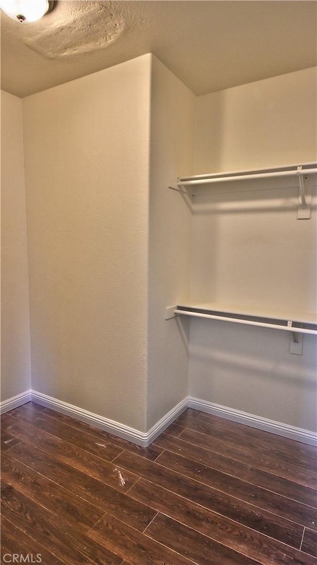 spacious closet featuring dark hardwood / wood-style flooring