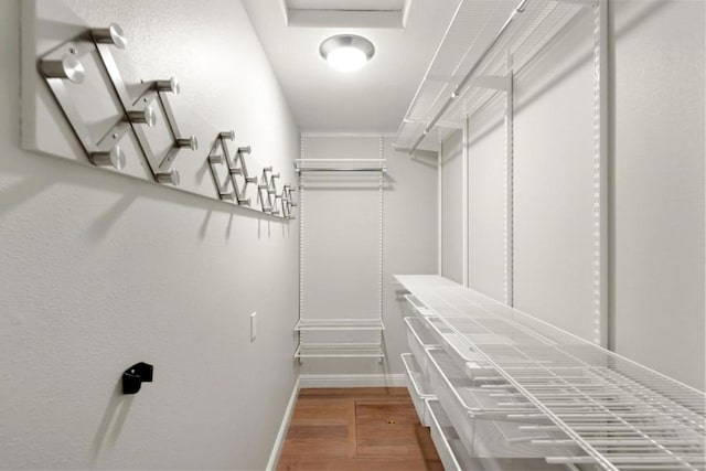 walk in closet featuring hardwood / wood-style flooring