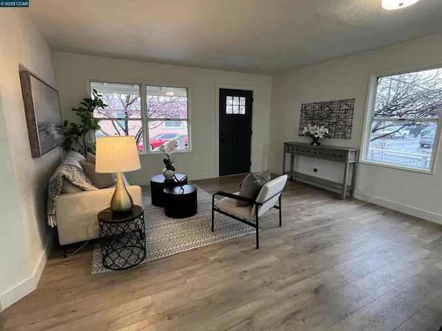 living area featuring light hardwood / wood-style floors