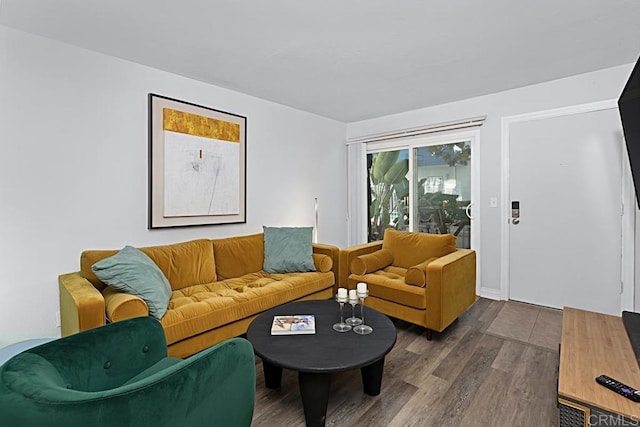 living room with wood-type flooring