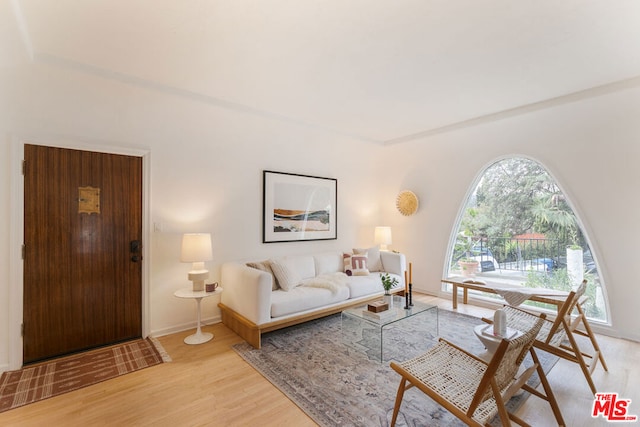 living room with light hardwood / wood-style floors