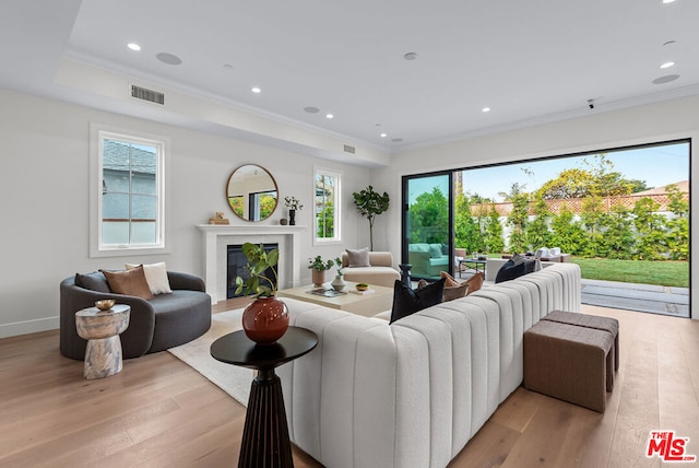 living room with ornamental molding and light hardwood / wood-style floors