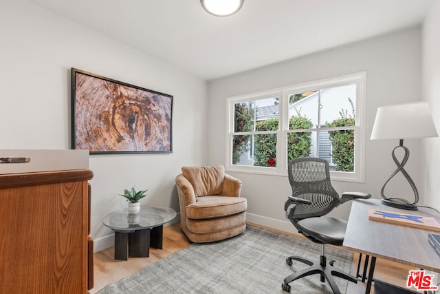 office space with light hardwood / wood-style flooring