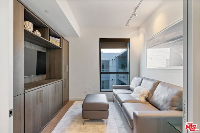 living room with rail lighting and light hardwood / wood-style floors