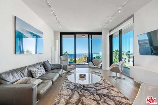 living room with expansive windows, wood-type flooring, and rail lighting