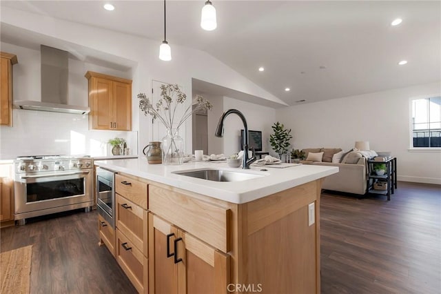 kitchen featuring sink, appliances with stainless steel finishes, a center island with sink, vaulted ceiling, and wall chimney exhaust hood