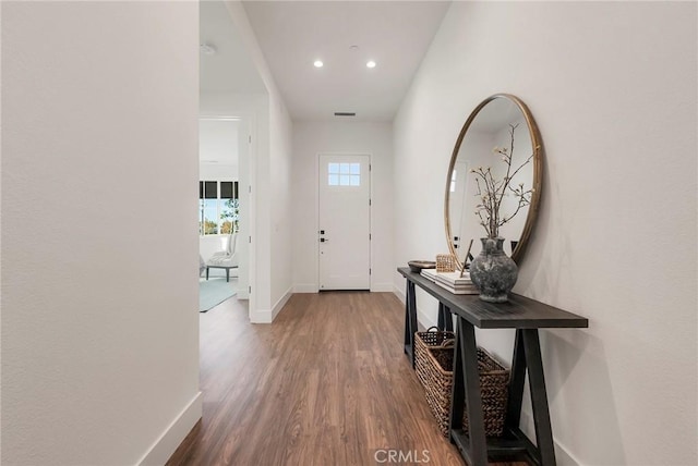 entrance foyer featuring wood-type flooring