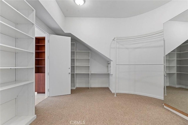 walk in closet featuring light colored carpet