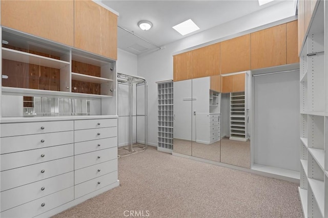 walk in closet with light colored carpet